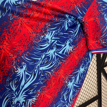 Crystal Palace Home 24/25