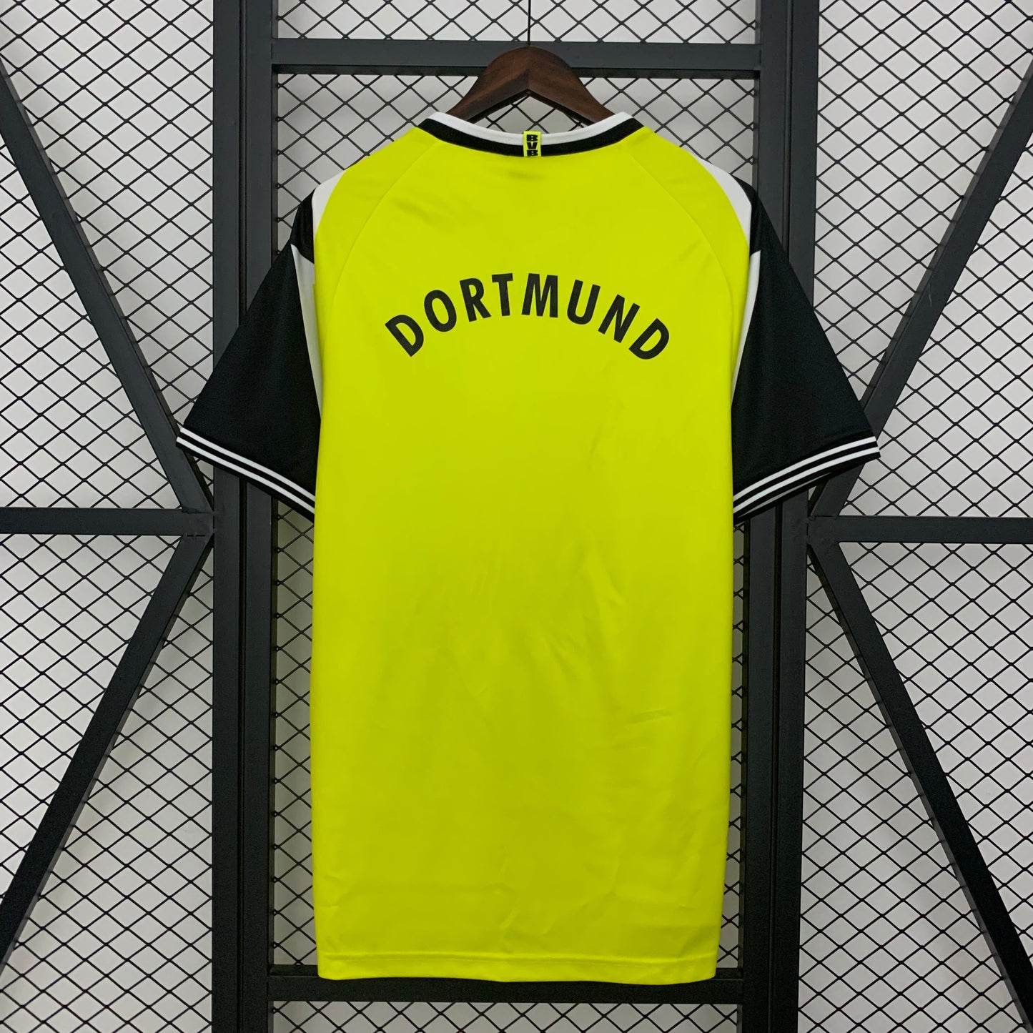 Dortmund 95/96 Home