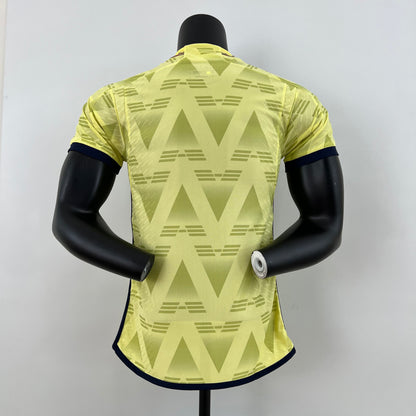 Arsenal 23/24 Away