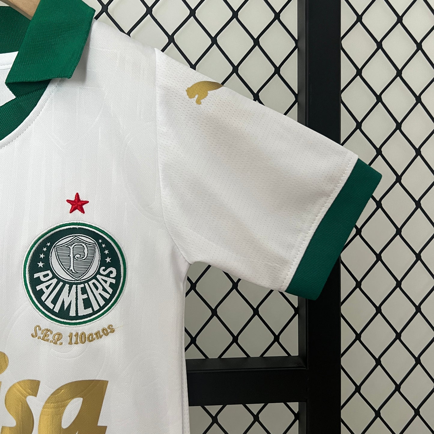 Palmeiras Away 2024