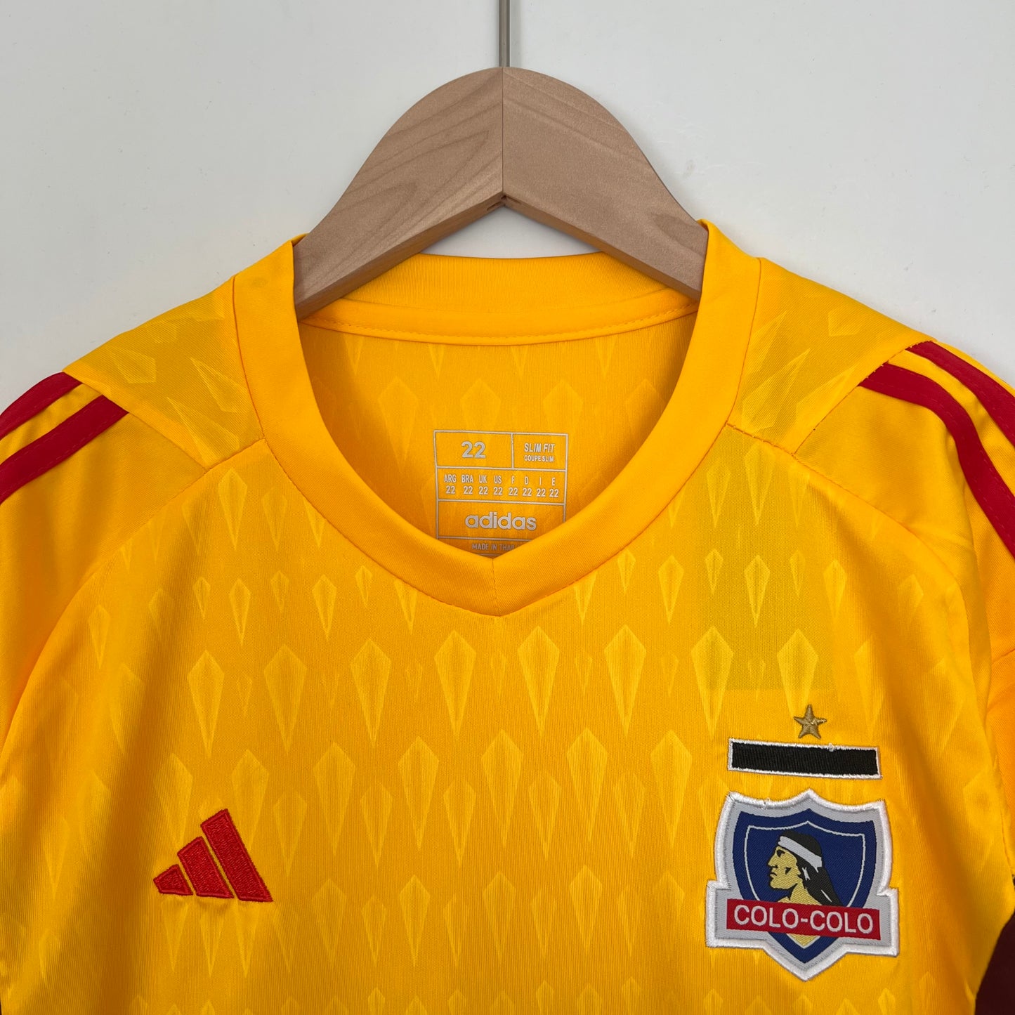Goalkeeper colo colo
