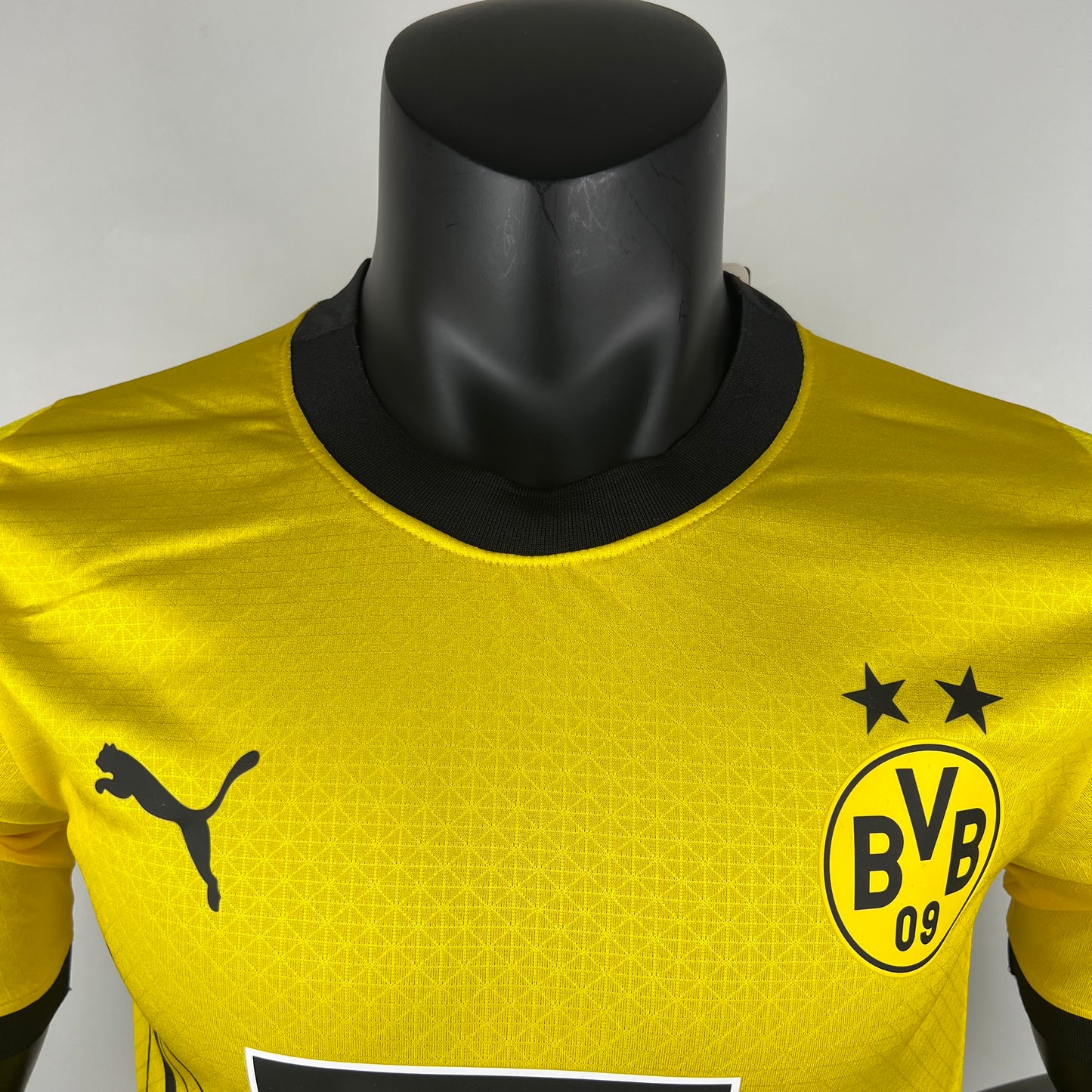 Dortmund 23/24 Home