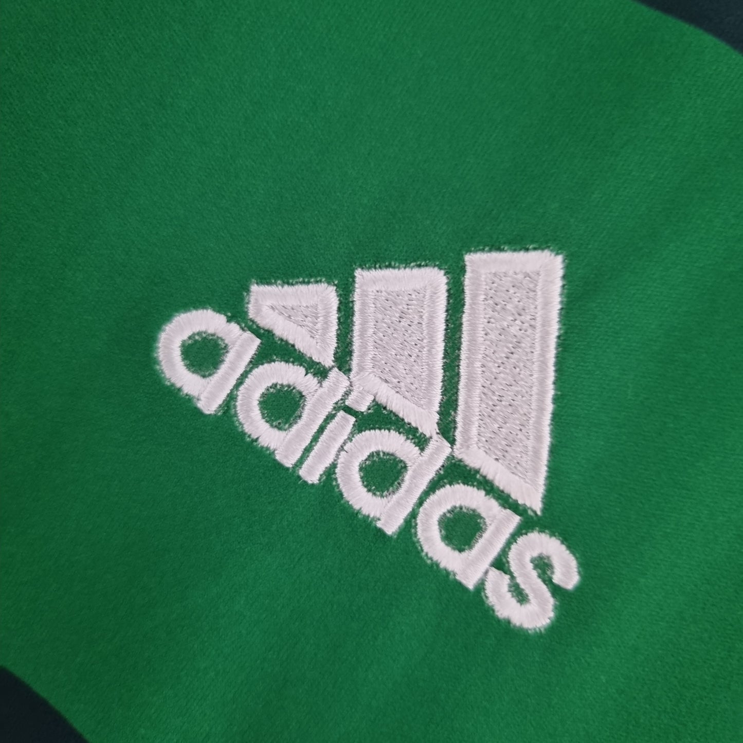 Palmeiras 10/11 Home