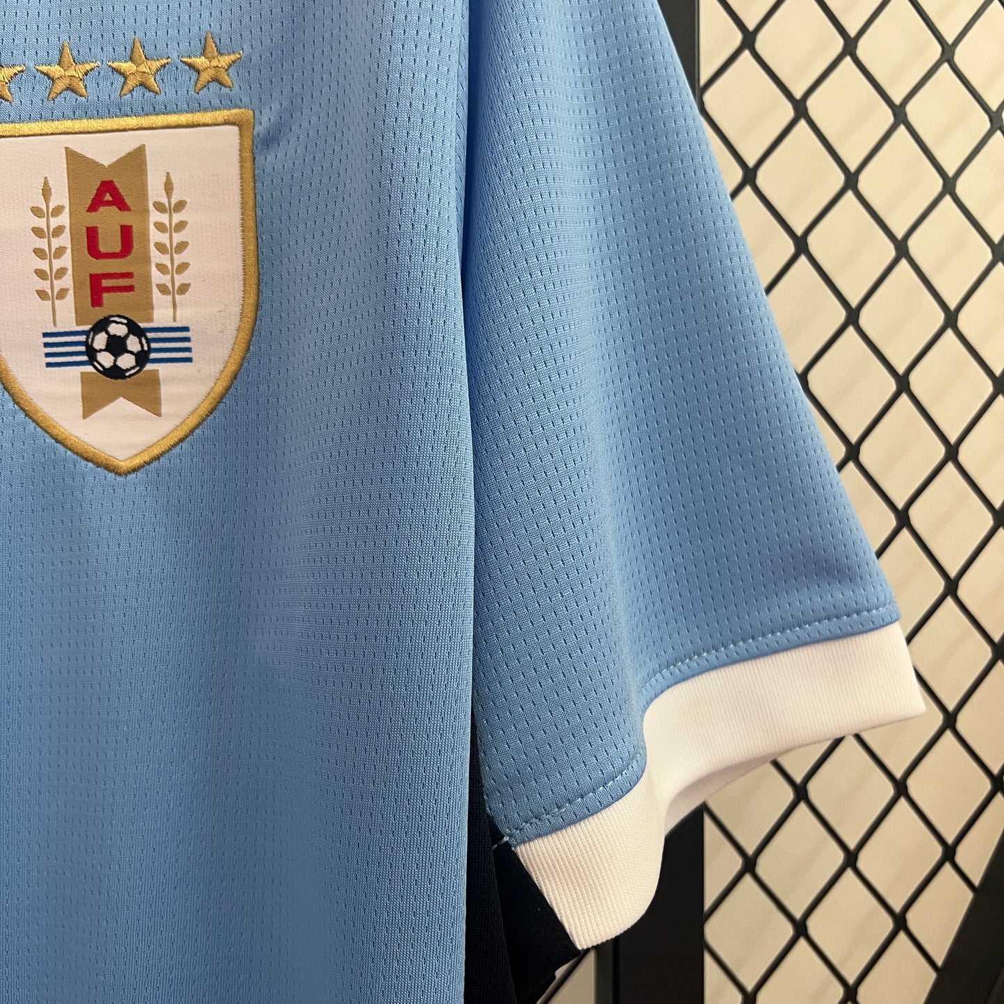 Uruguay Home 2024