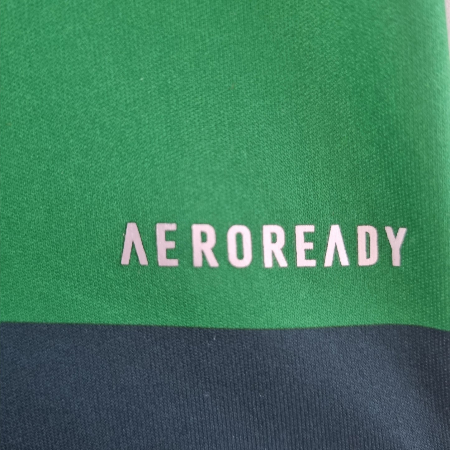 Palmeiras 10/11 Home