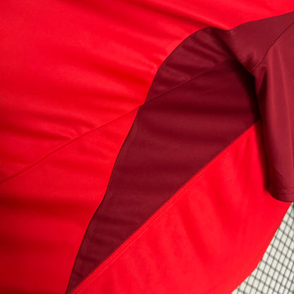 Camisola de Treino Internacional 24/25
