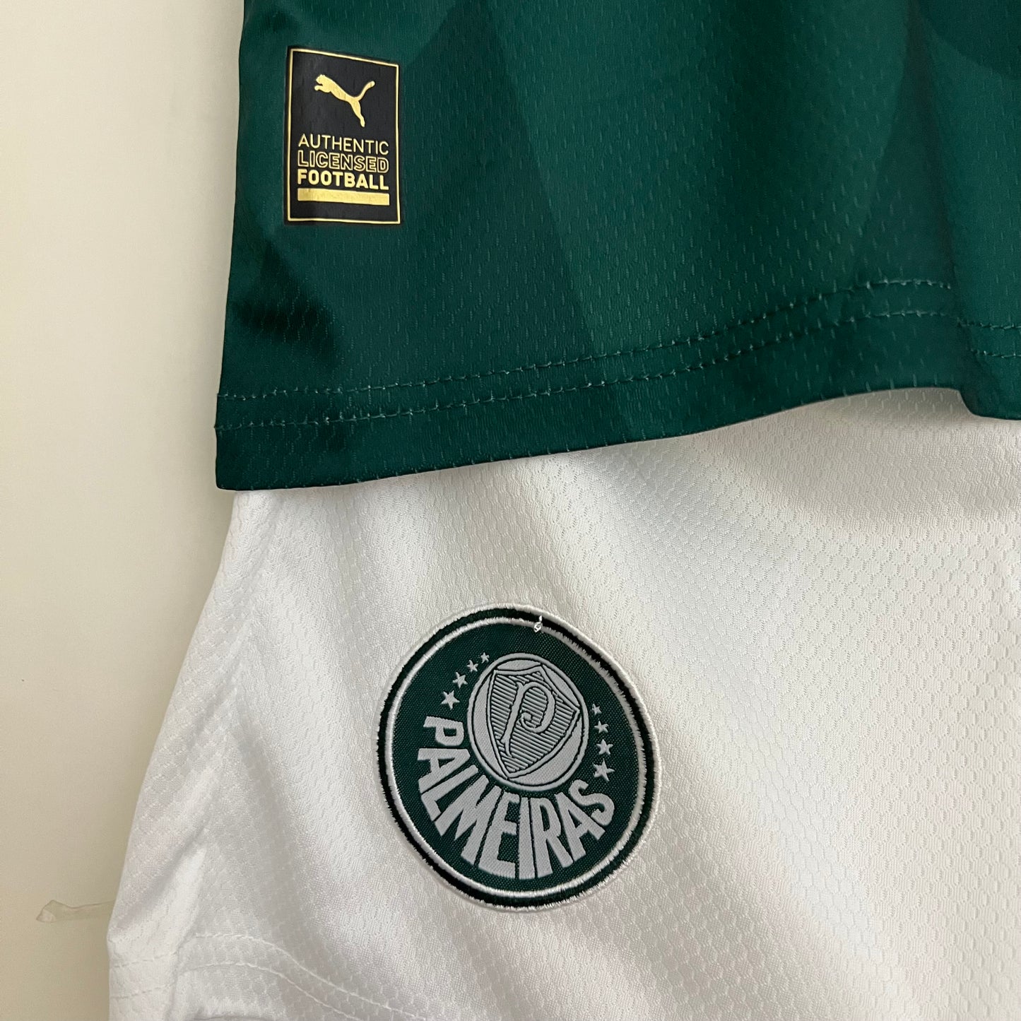Palmeiras 23/24 Home