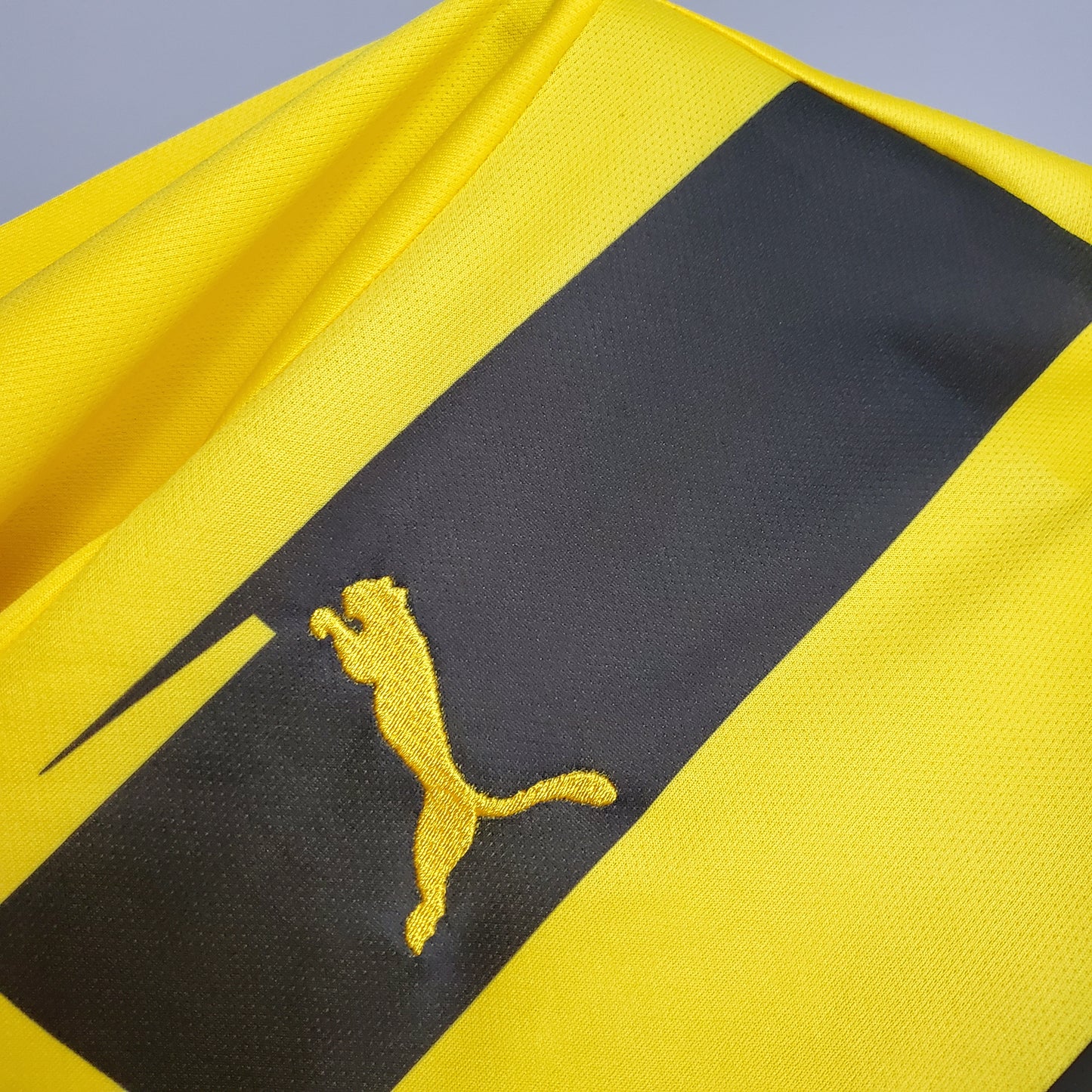 Dortmund 12/13 Home