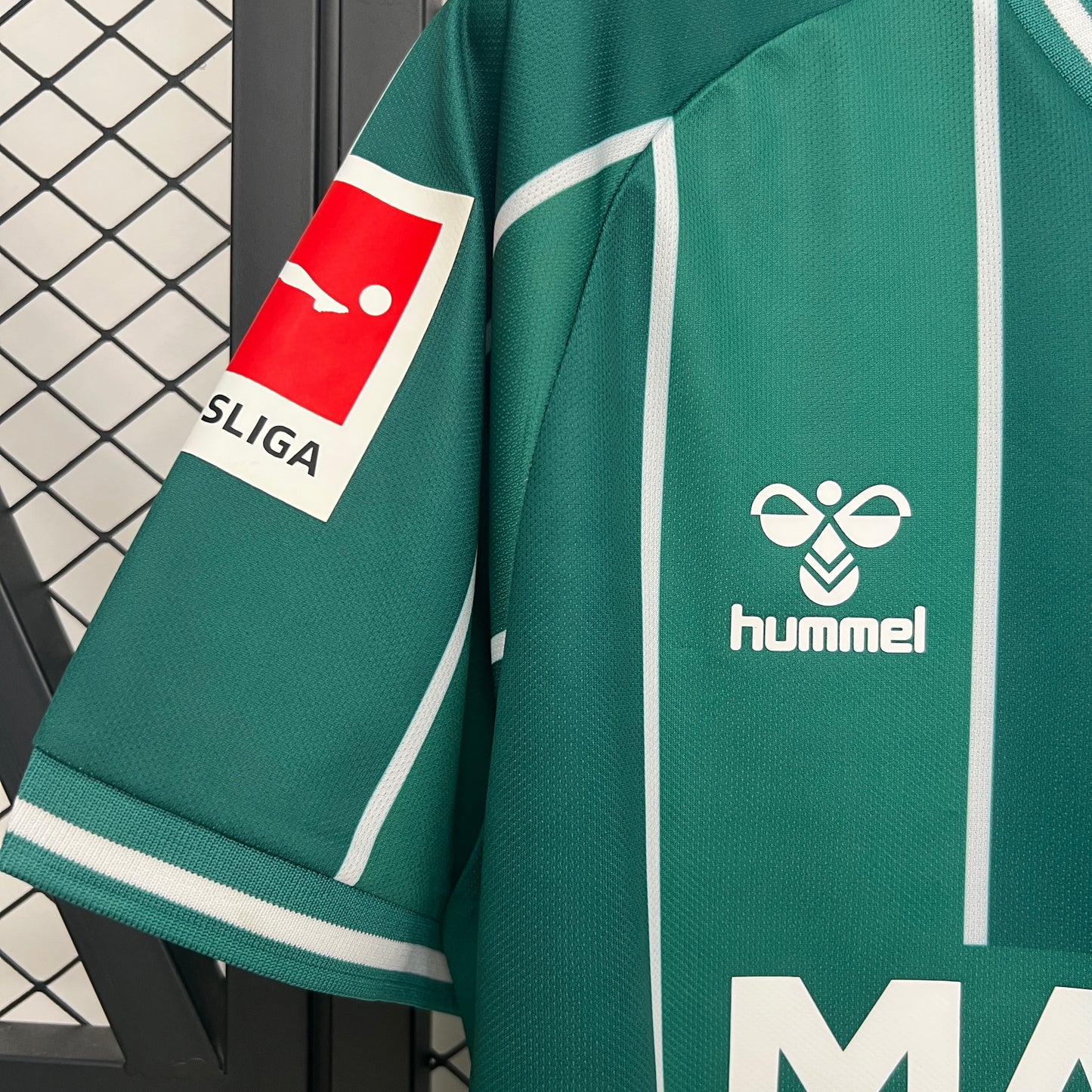Werder Bremen 25/26 Home