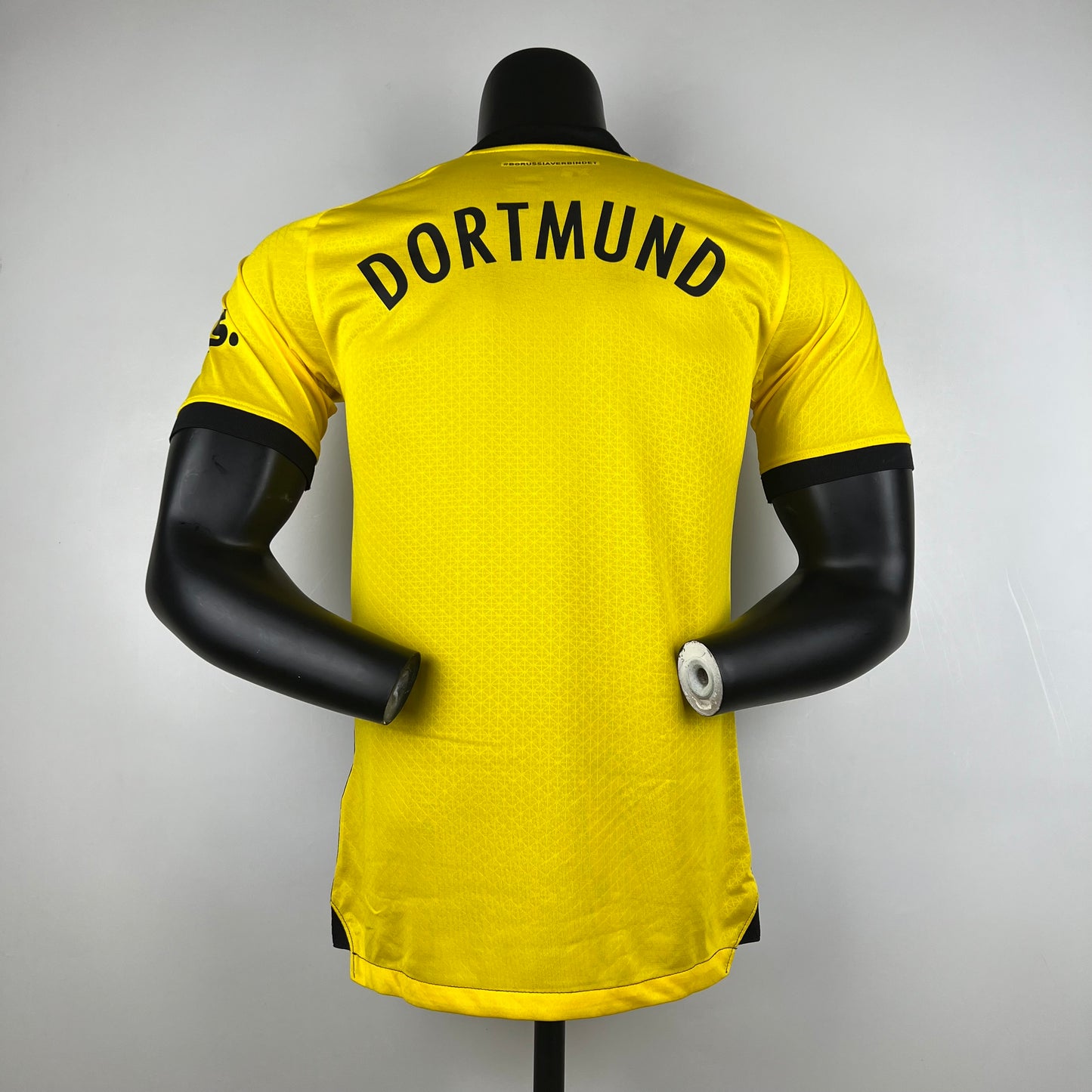 Dortmund 23/24 Home