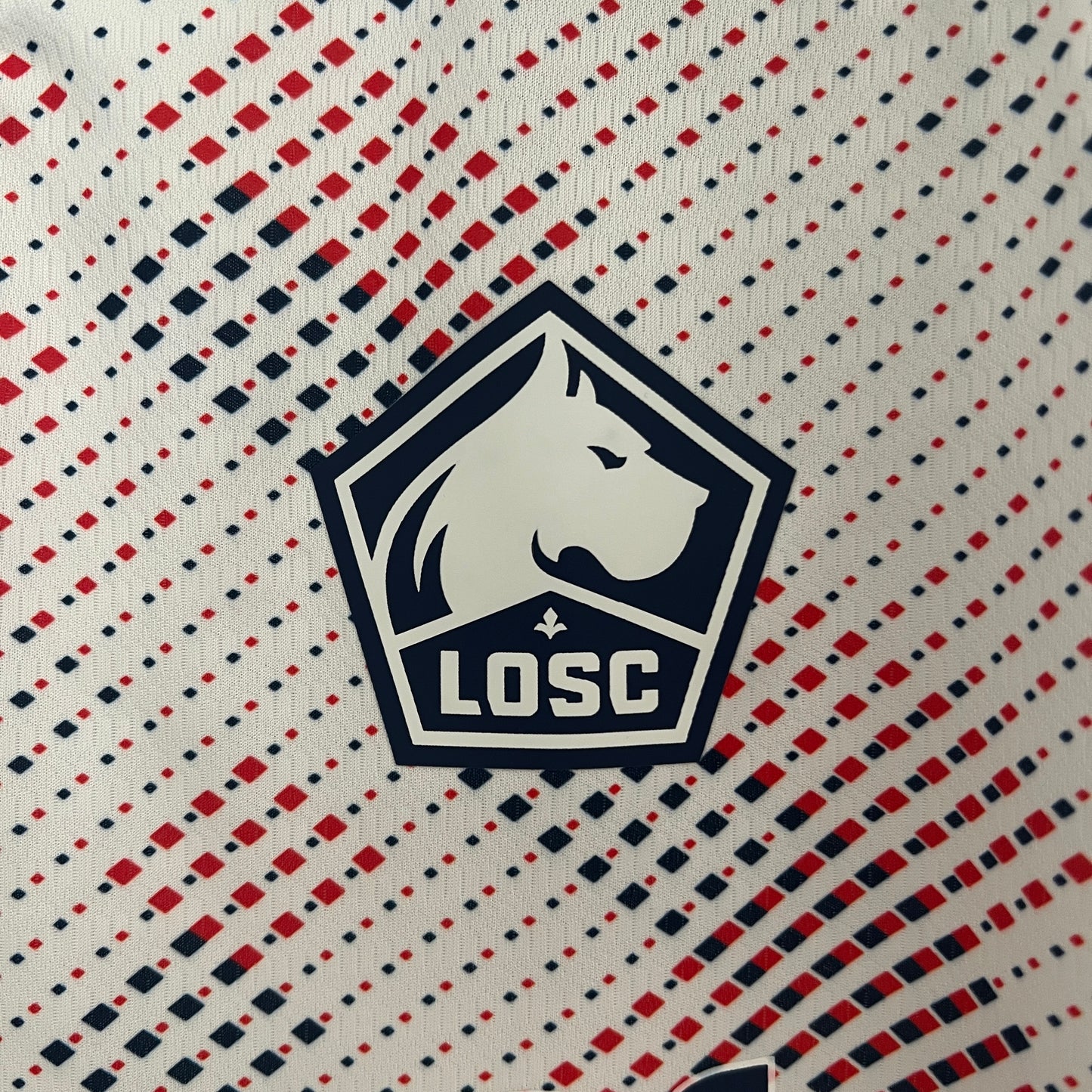Losc Lille Away 24/25