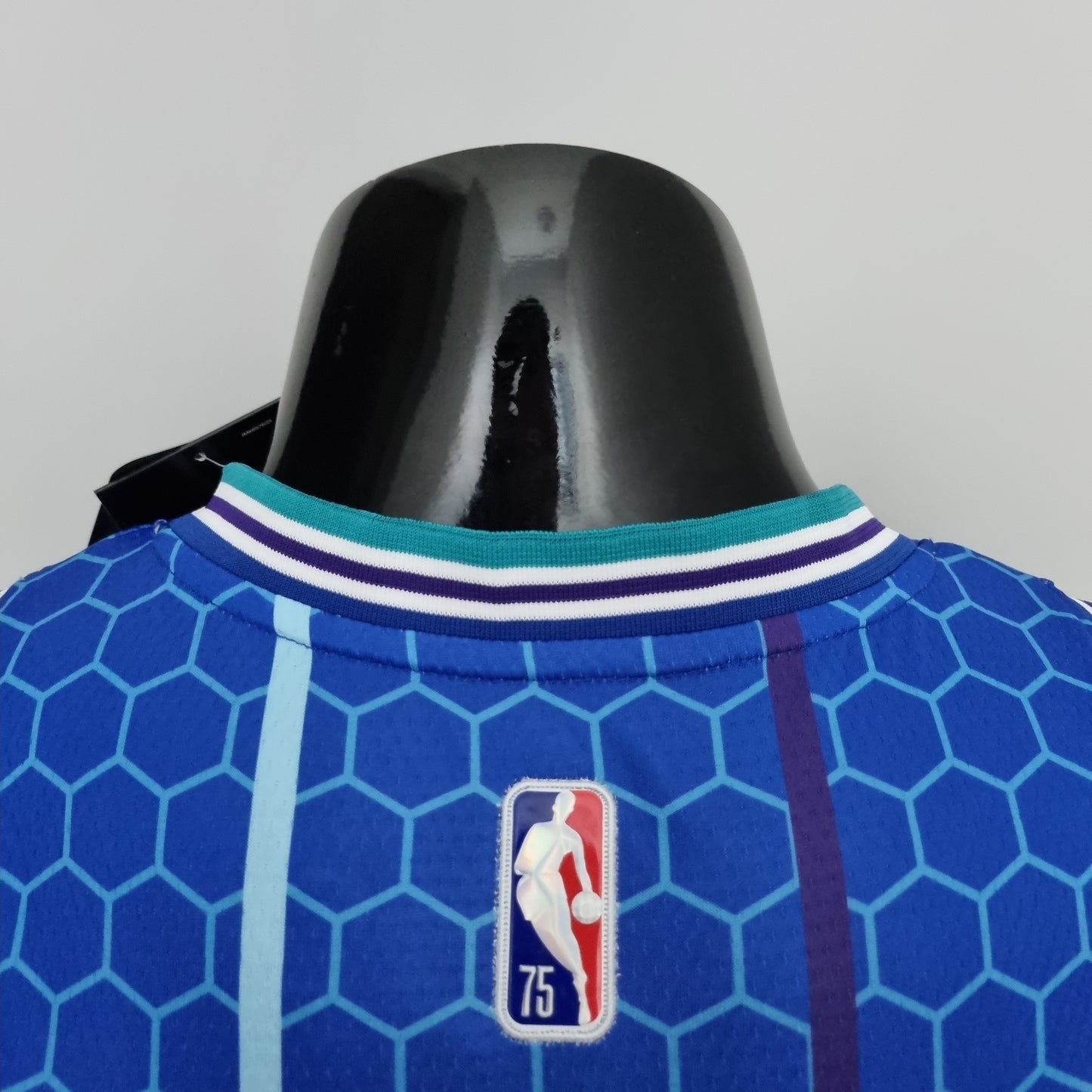 Charlotte Hornets Blue | 75th Anniversary