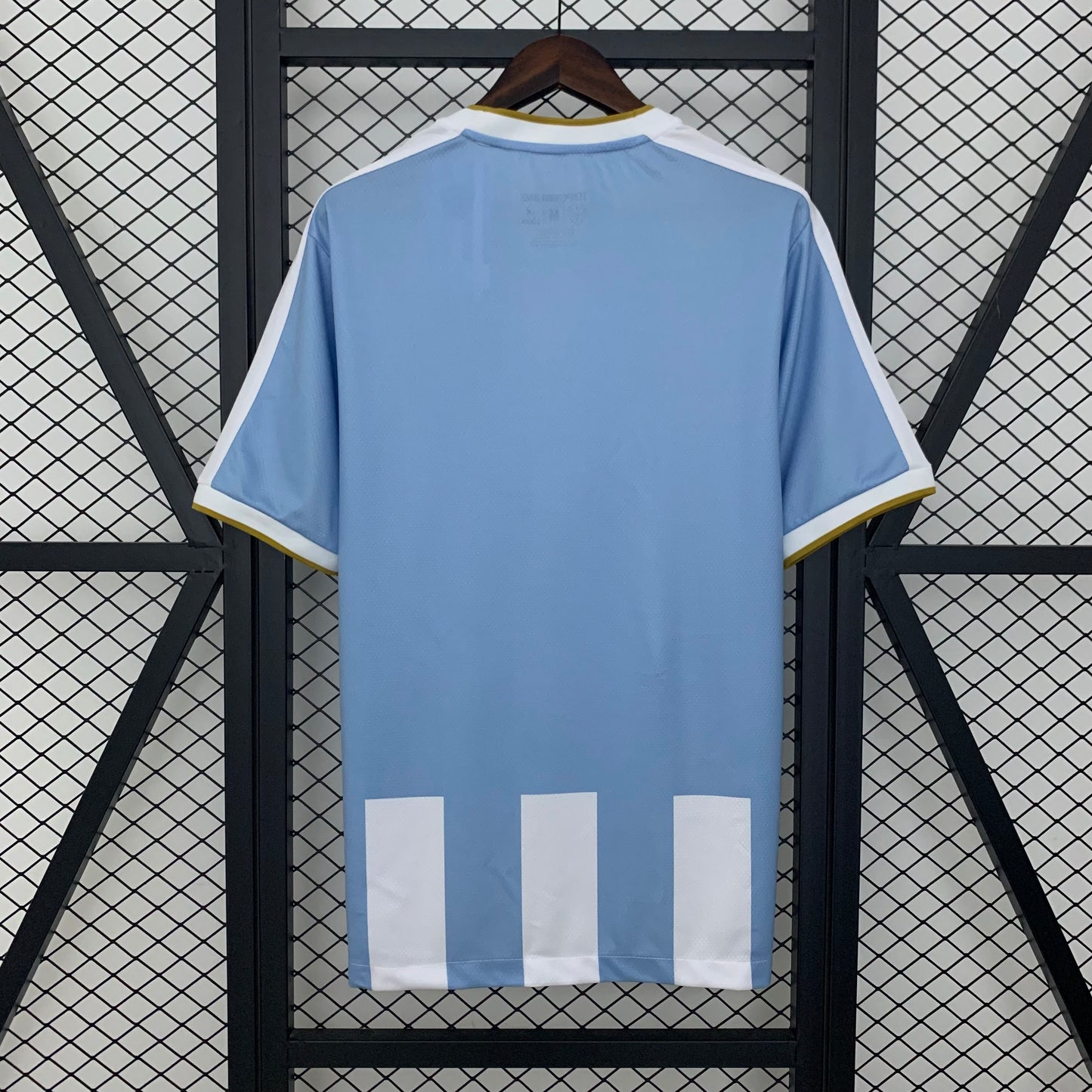 Paysandu 25/26 Home
