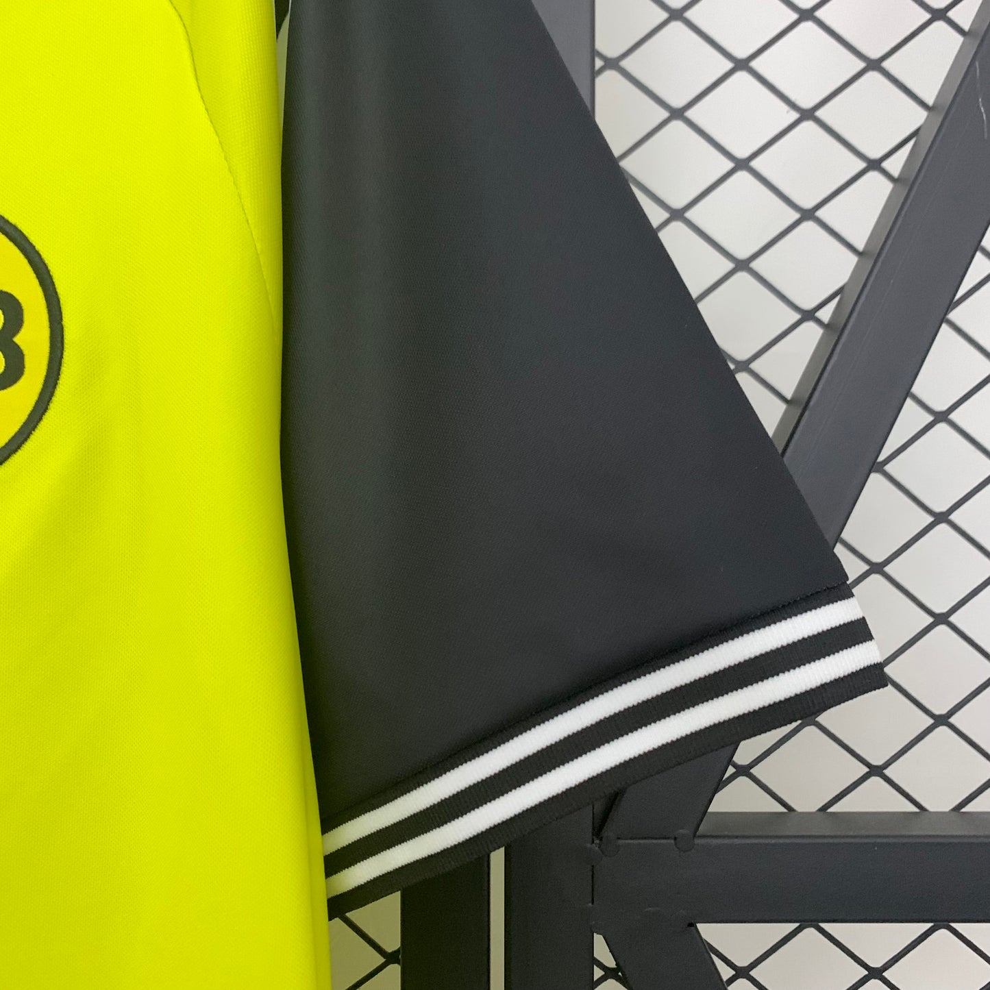Dortmund 95/96 Home