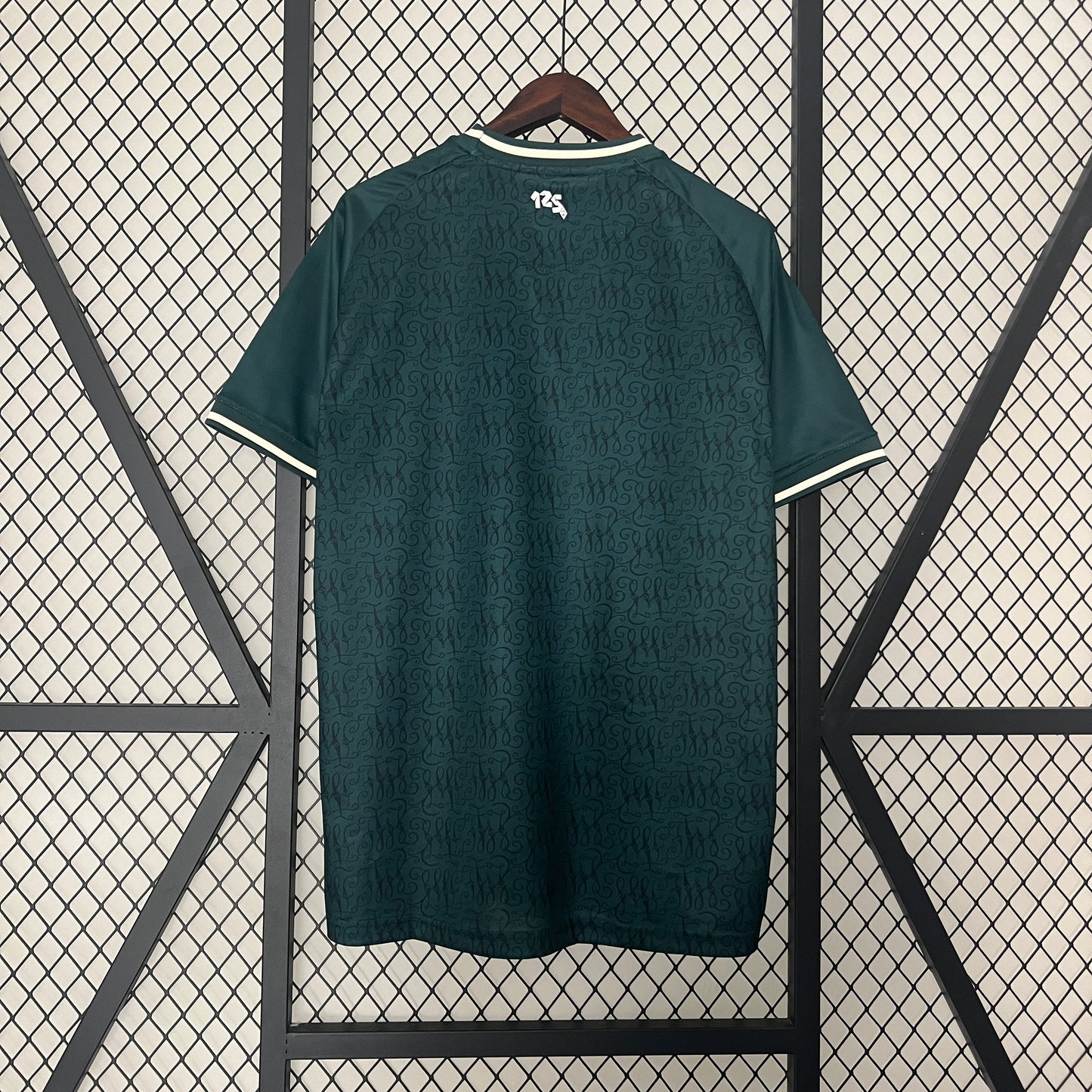 Werder Bremen Special Edition 24/25