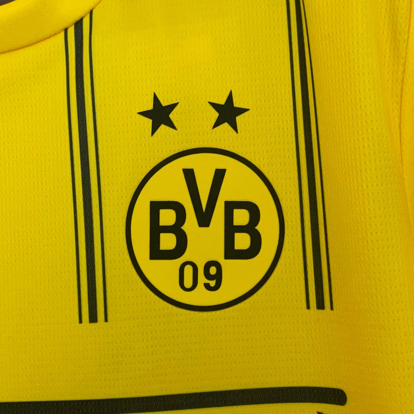 Dortmund X One Piece 25/26