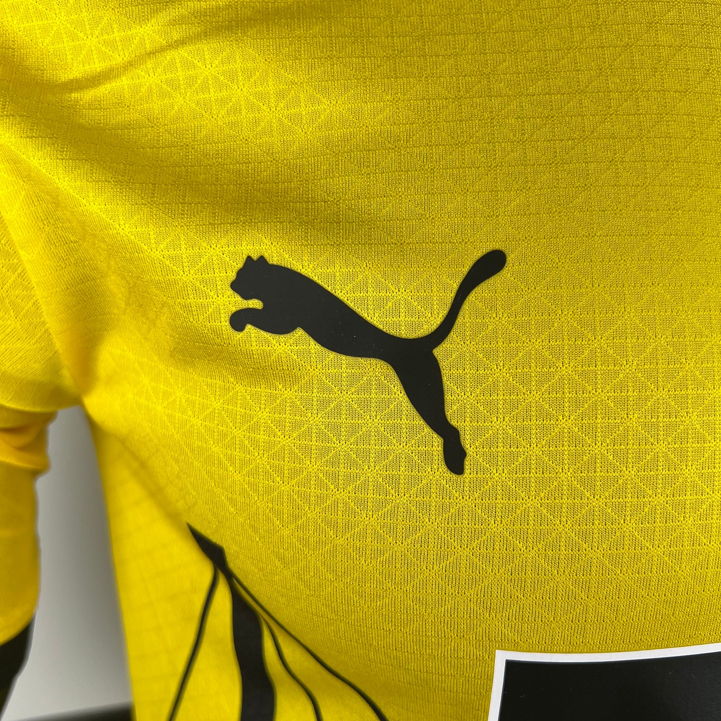 Dortmund 23/24 Home