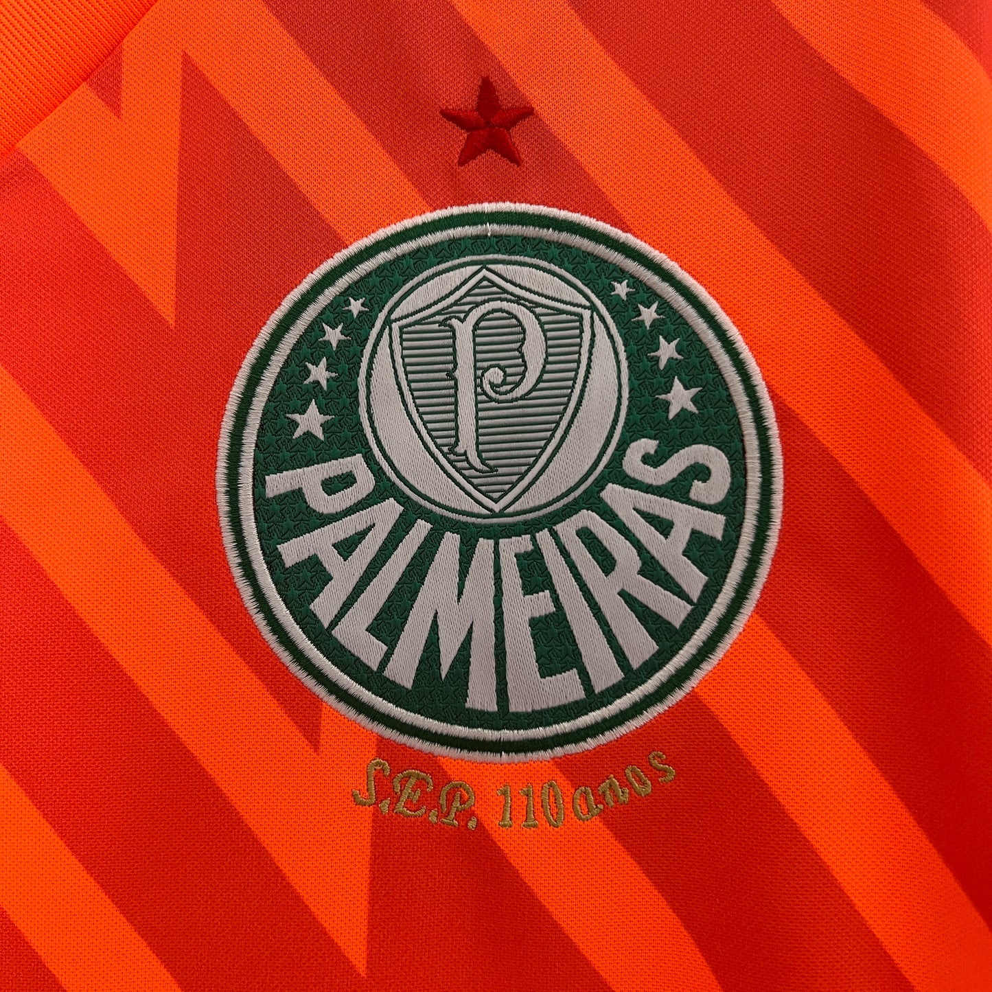 Palmeiras Guarda Redes 24/25