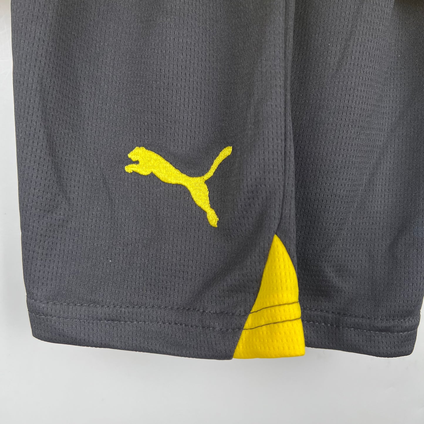 Dortmund 23/24 Home