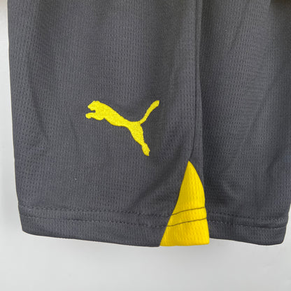 Dortmund 23/24 Home