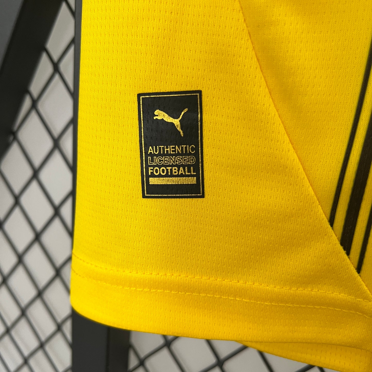 Borussia Dortmund Home 24/25