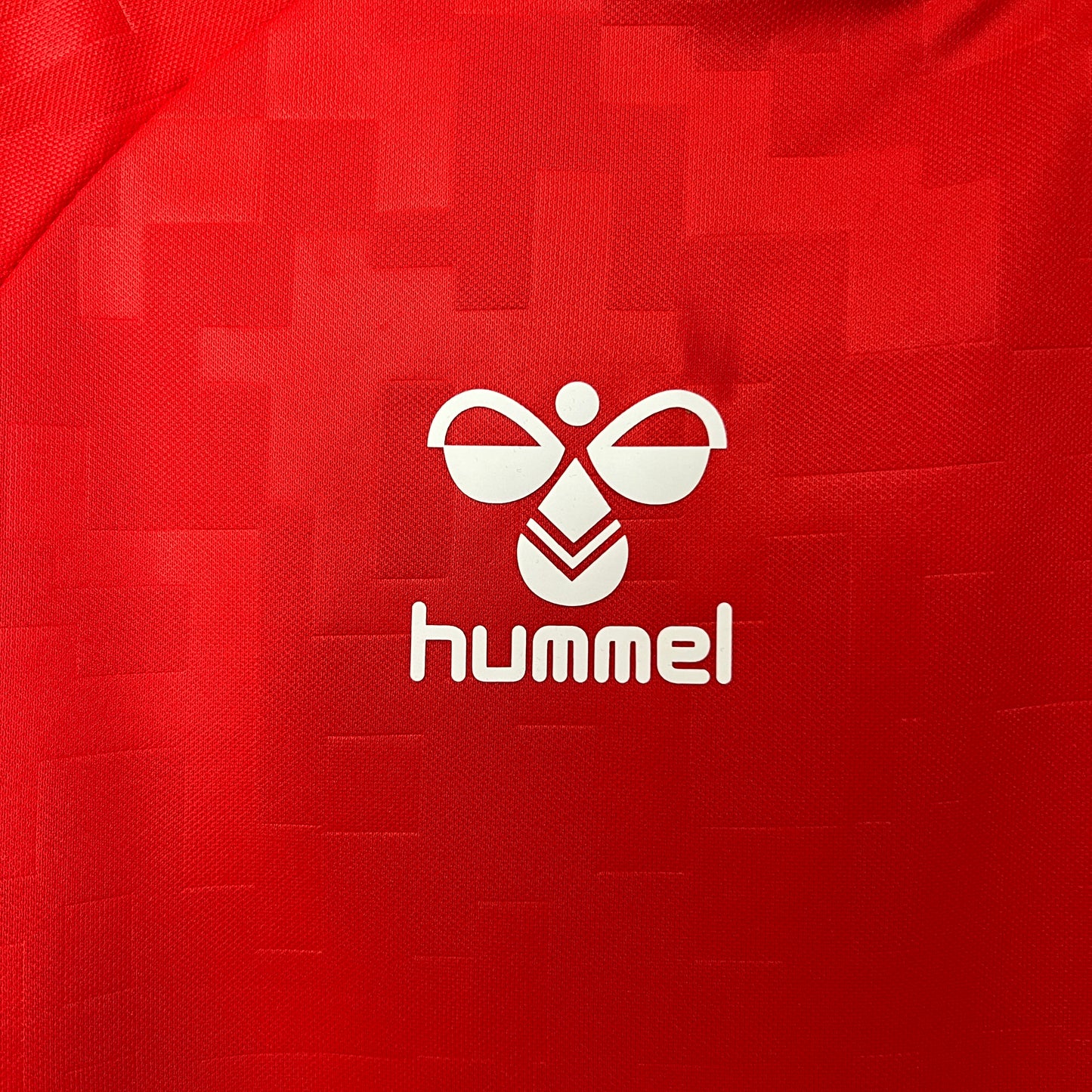 Dinamarca Home 2024