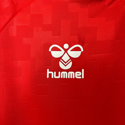 Dinamarca Home 2024