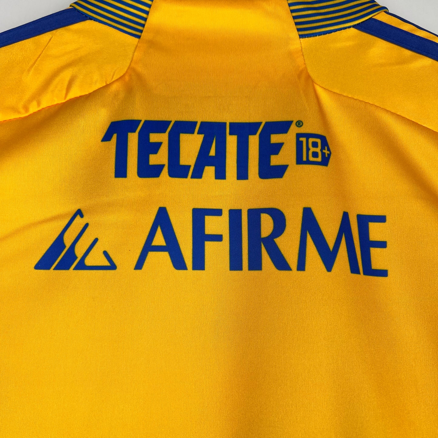 Tigres 23/24 Home
