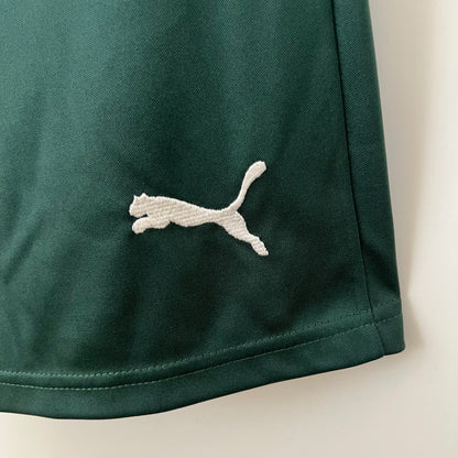 Palmeiras Dark Green 23/24