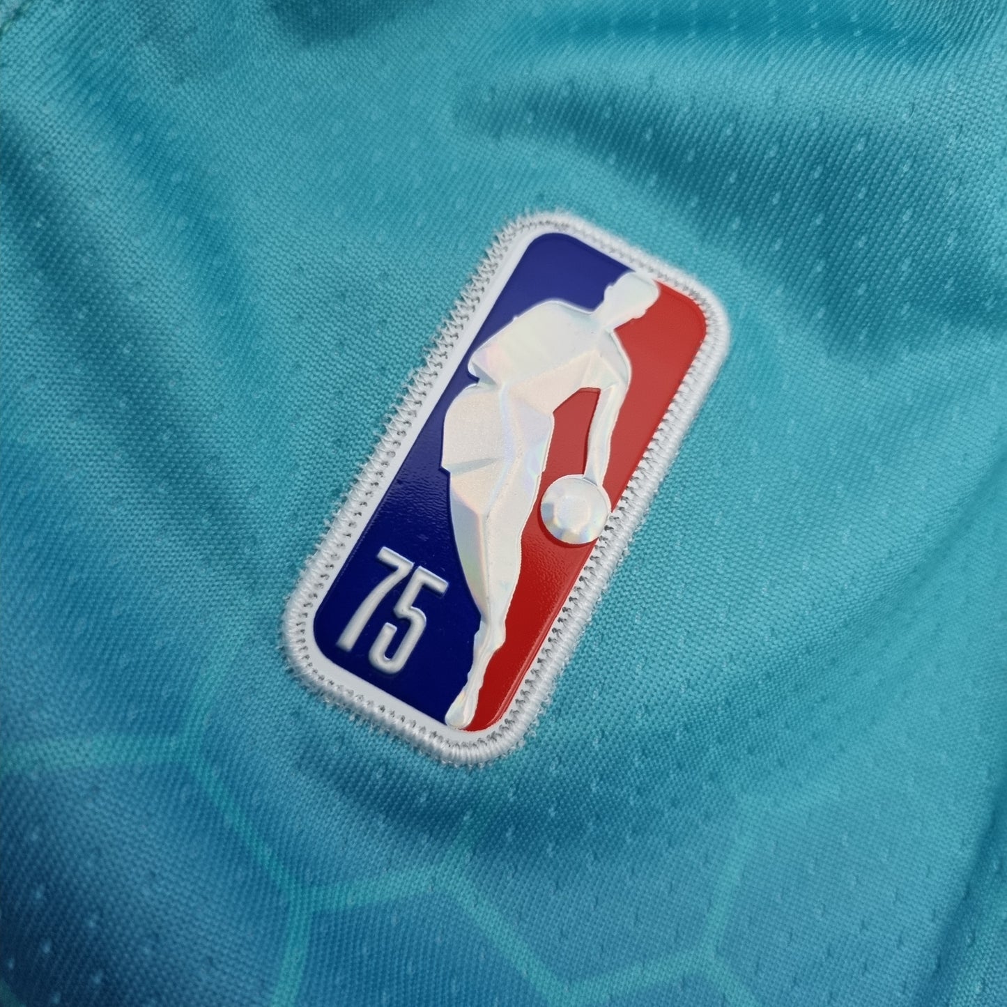 Charlotte Hornets Blue | Urban Edition