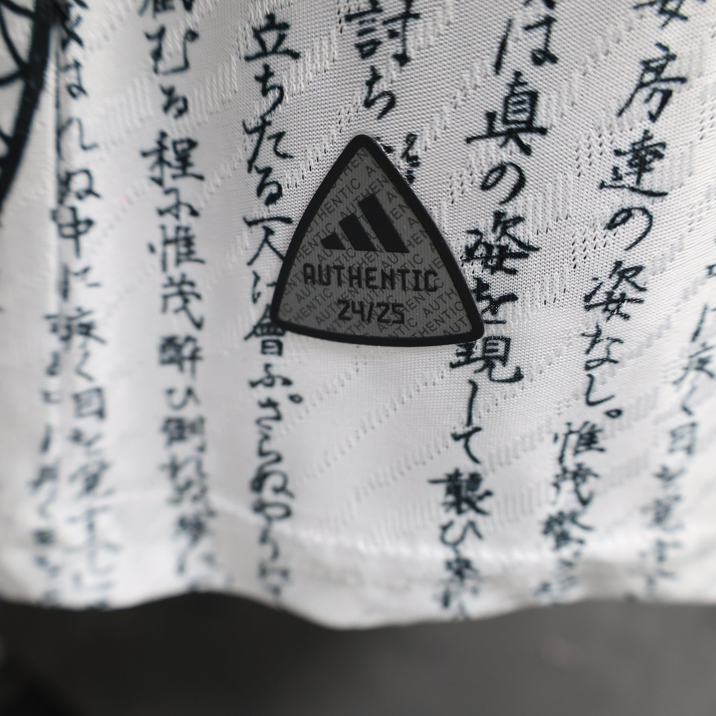 Japan Special Edition 2024 VI