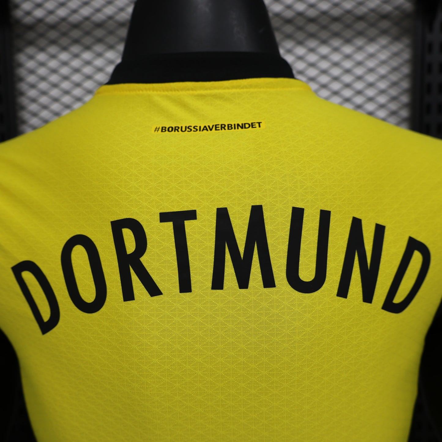 Dortmund Home 24/25
