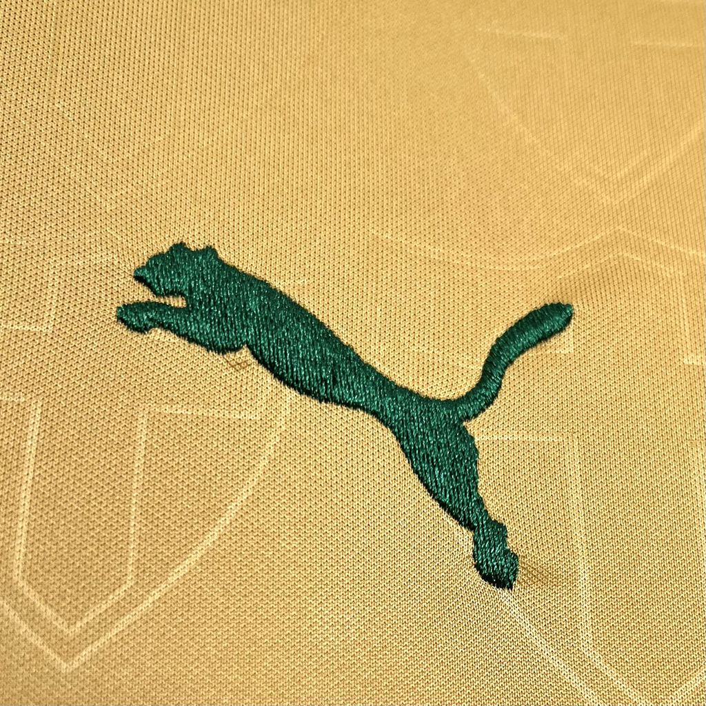Palmeiras Third Away 24/25