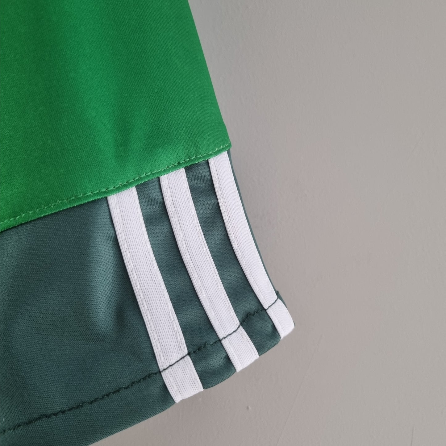 Palmeiras 10/11 Home