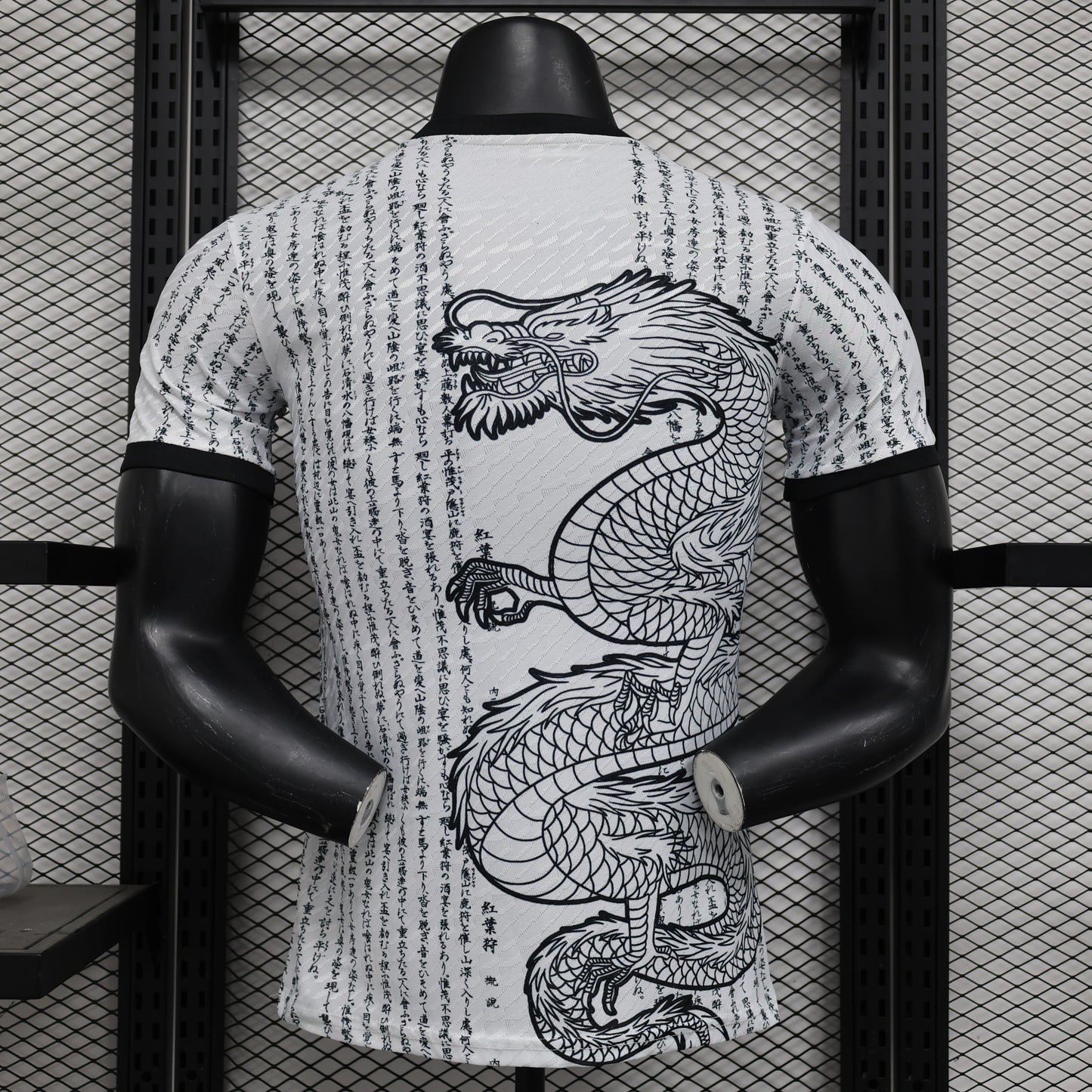 Japan Special Edition 2024 VI