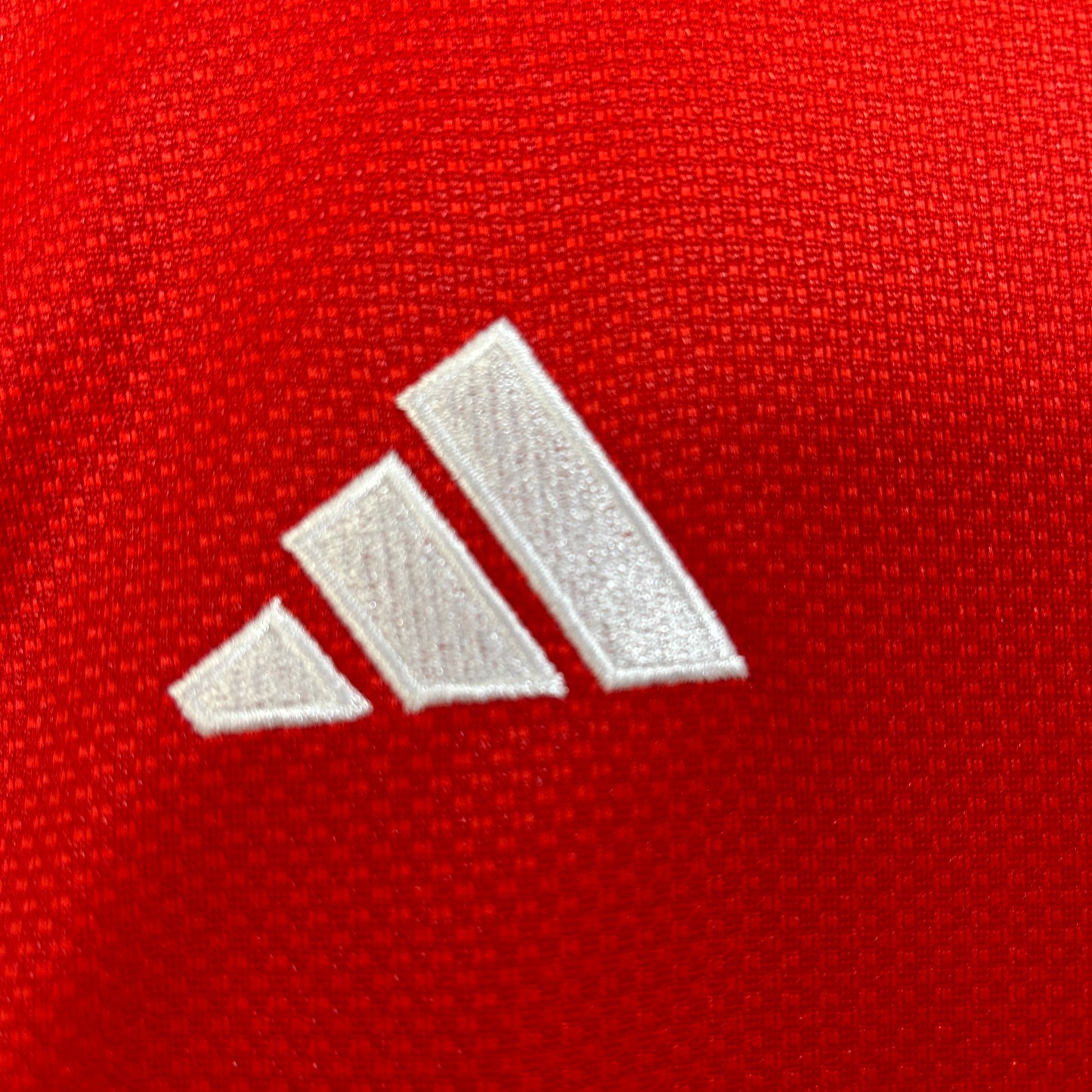 Benfica 25/26 Home