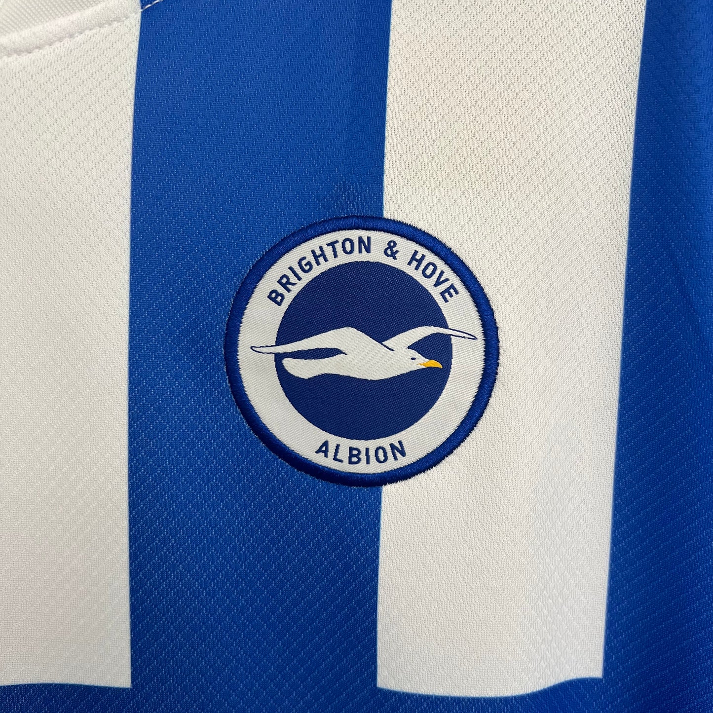 Brighton 25/26 Home
