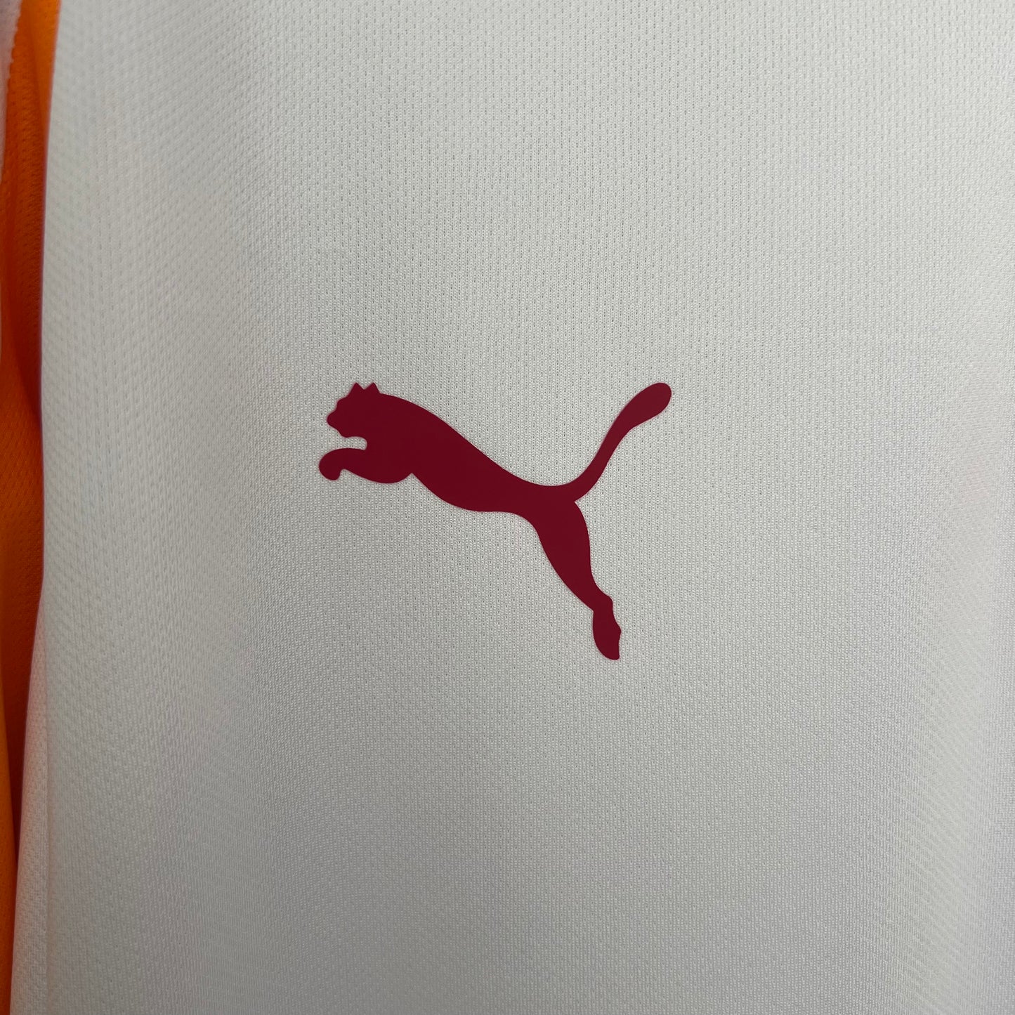 Galatasaray 25/26 Away