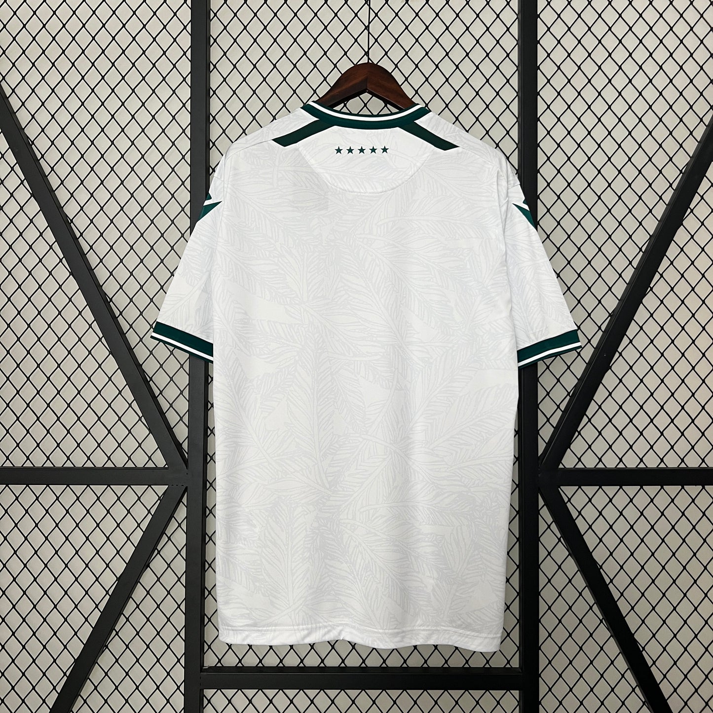 Santiago Wanderers Away 24/25