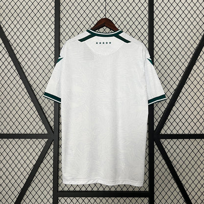 Santiago Wanderers Away 24/25