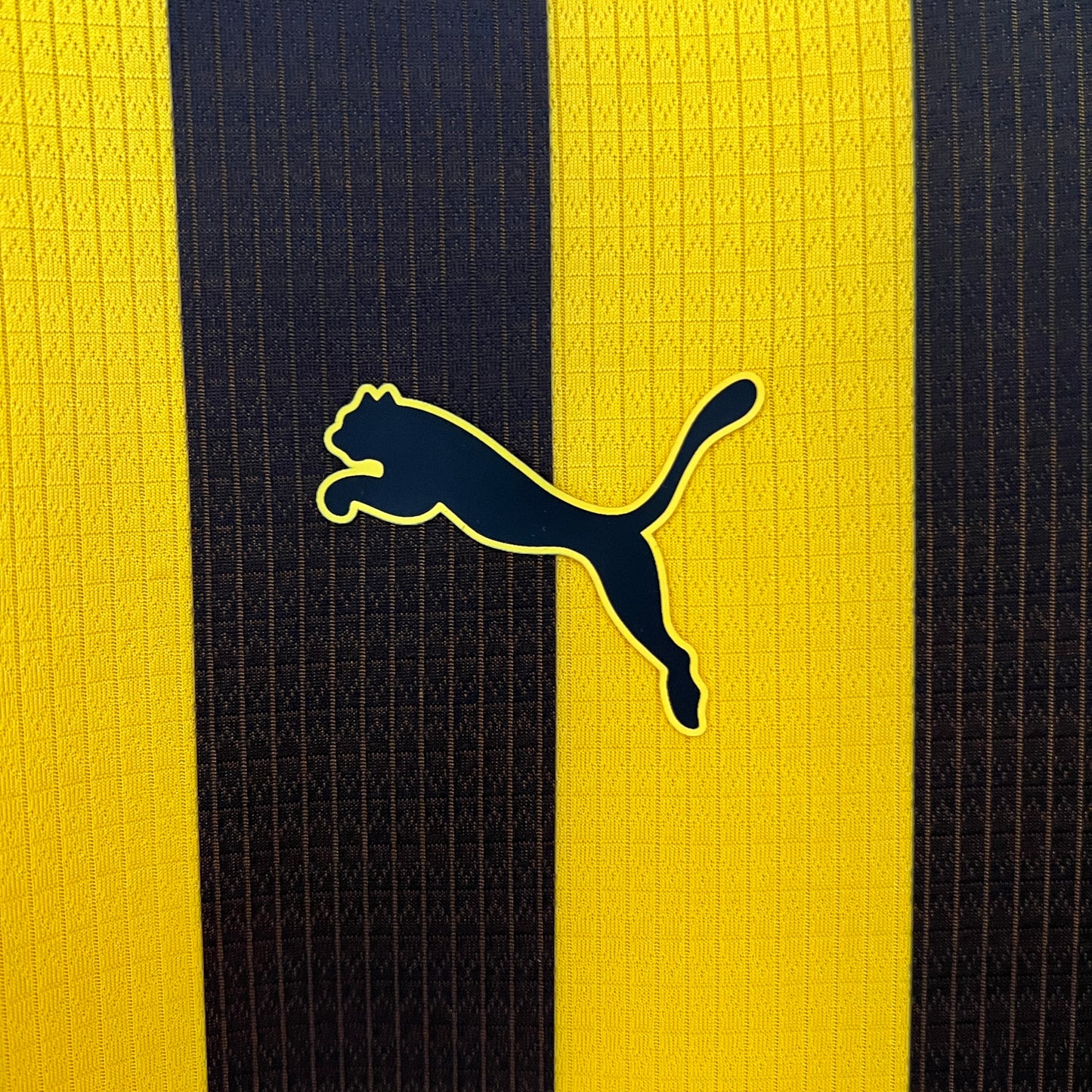 CA Penarol 24/25 Home