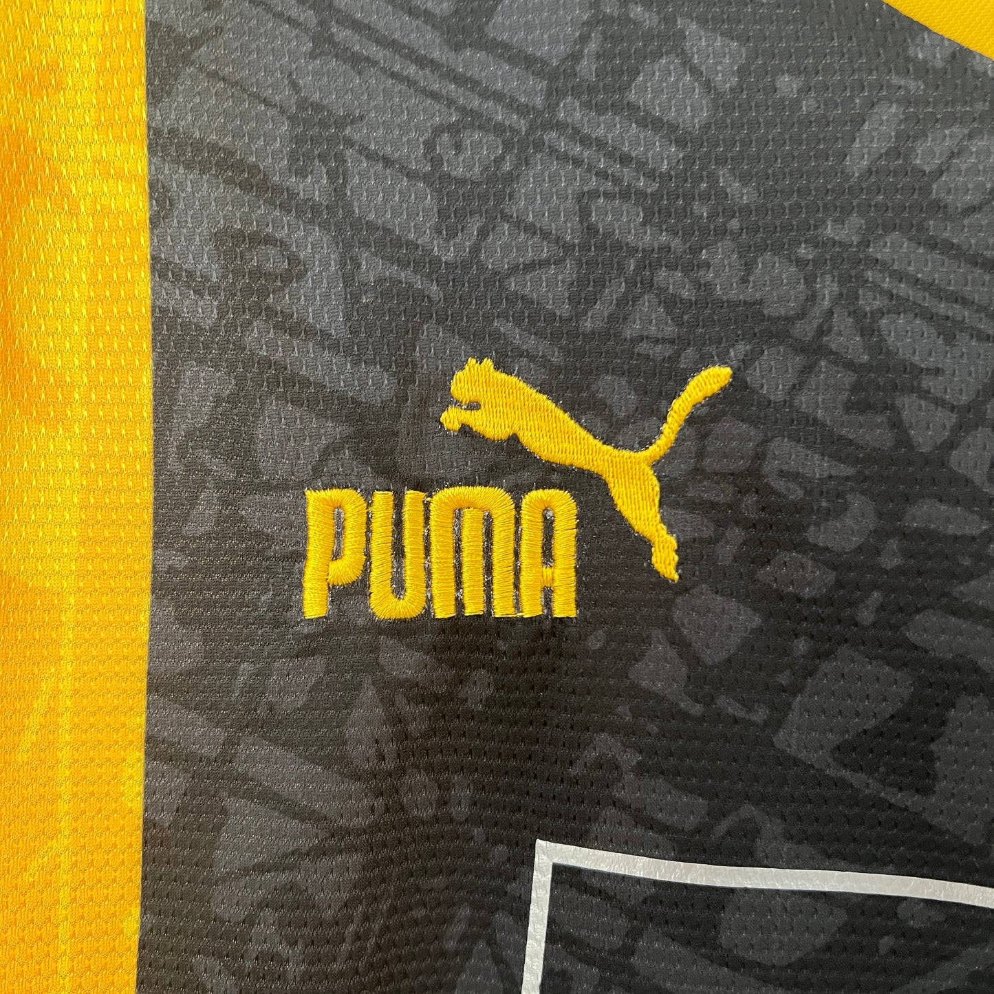Dortmund 24/25 | Special Edition