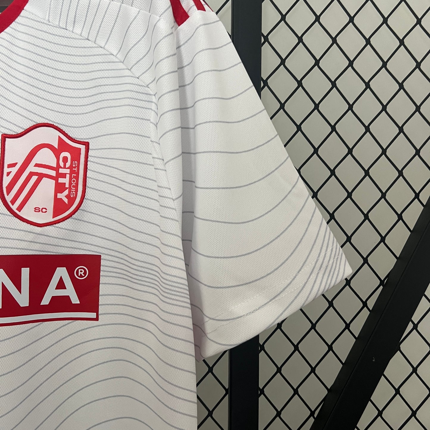 St. Louis Home 24/25