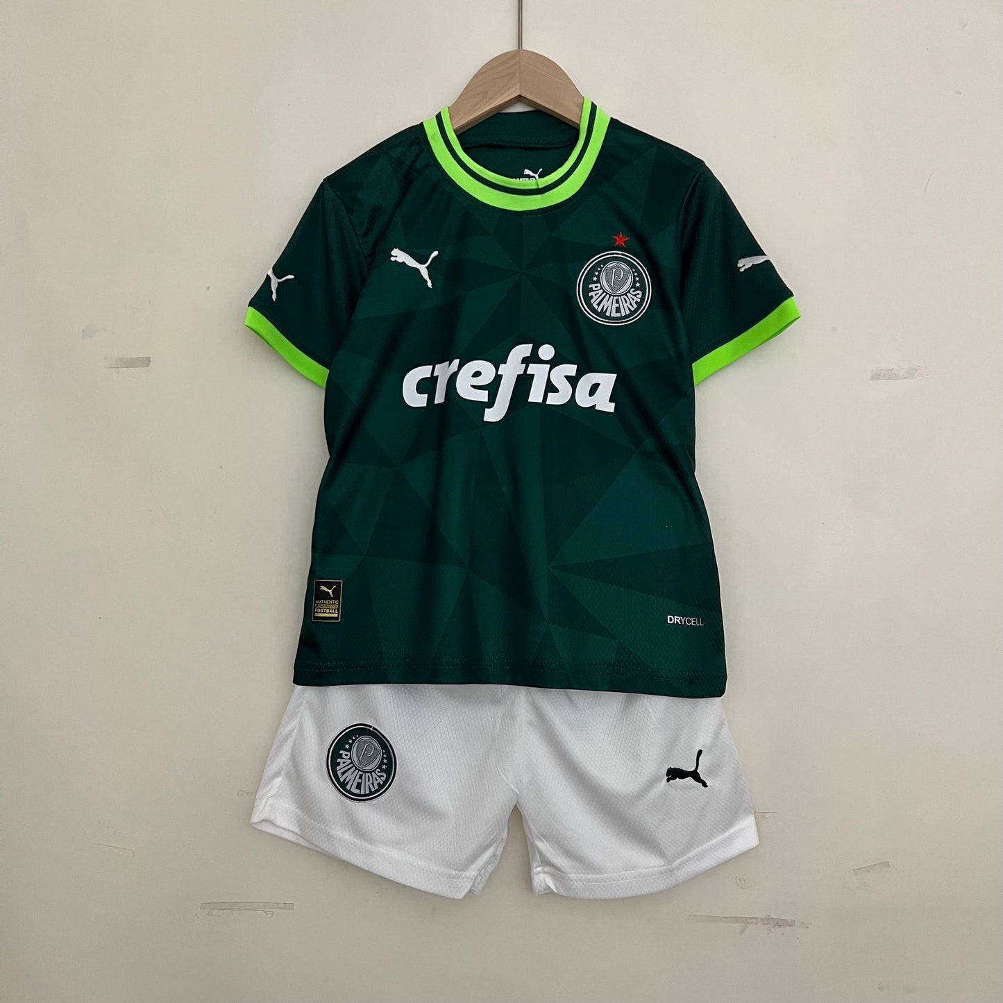 Palmeiras 23/24 Home