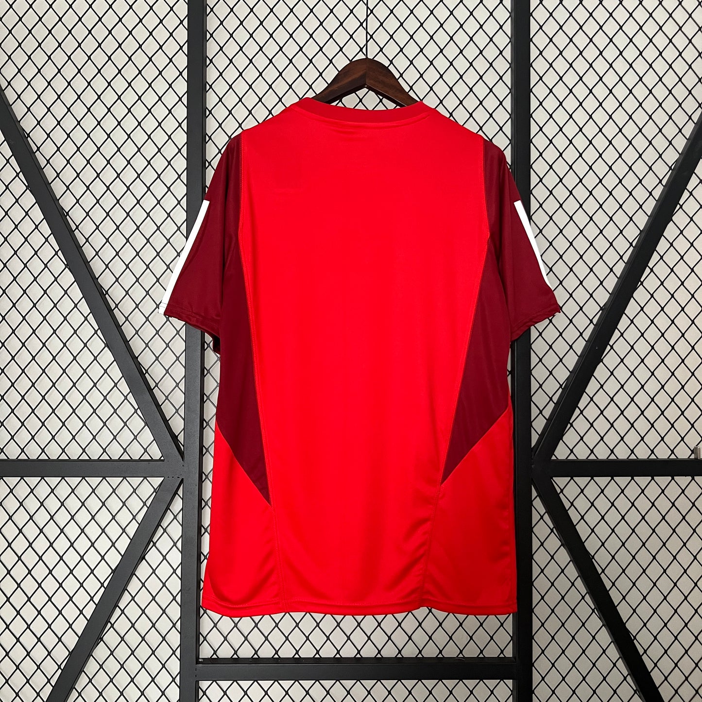 Camisola de Treino Internacional 24/25