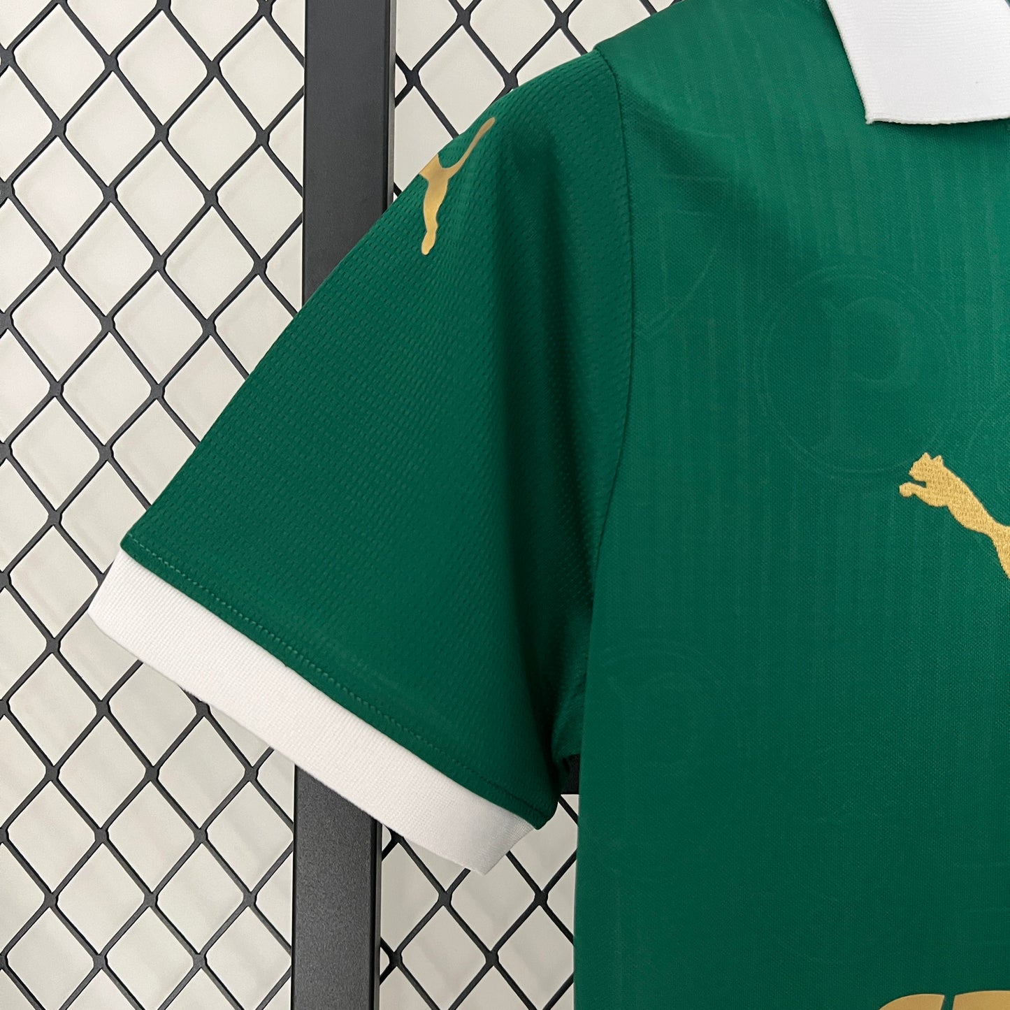 Palmeiras Home 24/25 Women