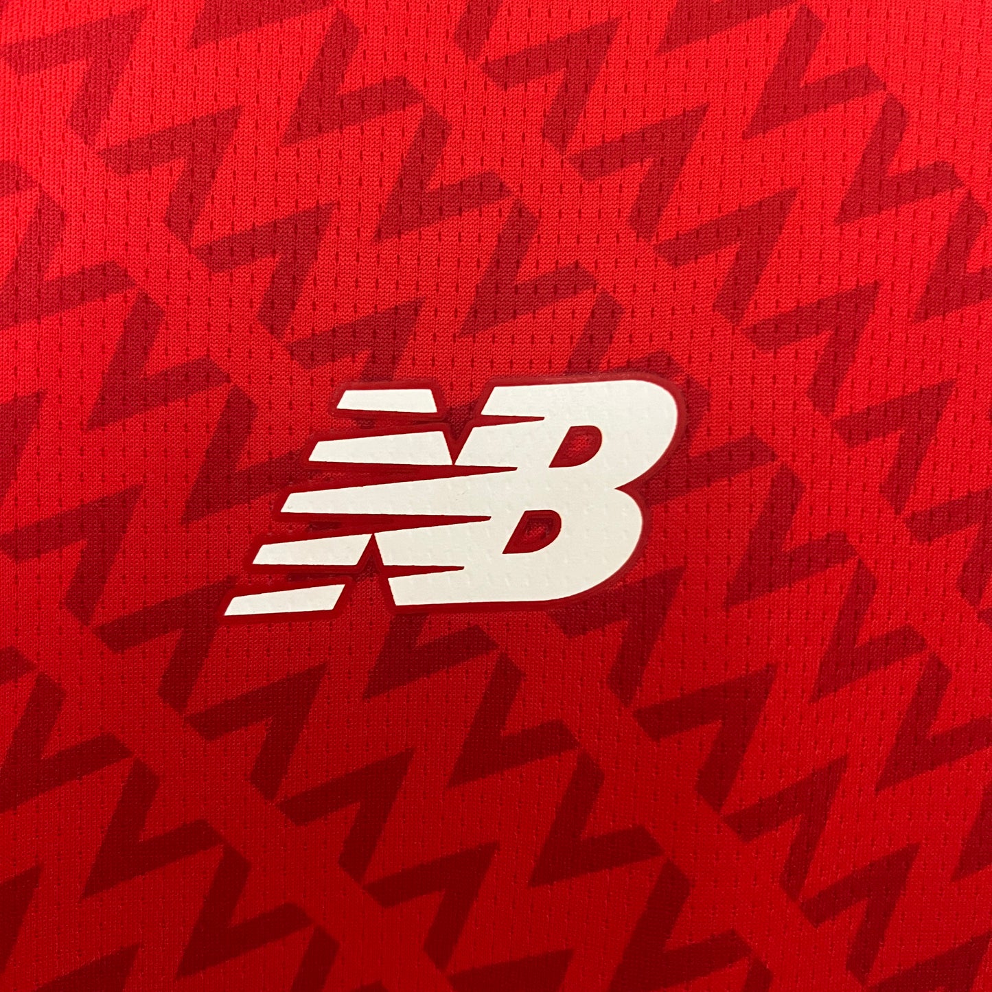 Losc Lille Home 24/25