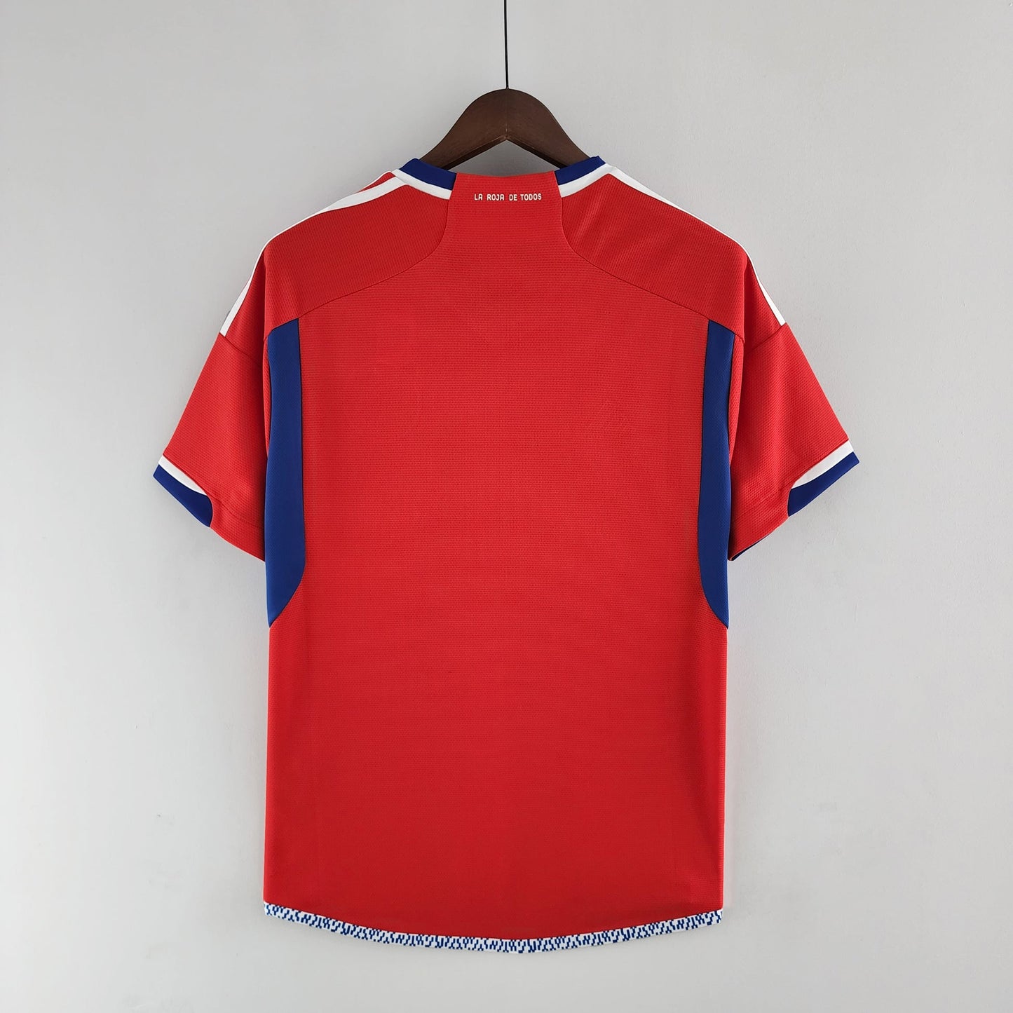 Chile Home 2022